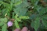  ( - BioBot05264)  @11 [ ] Copyright (2010) Unspecified Unspecified