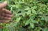  ( - BioBot05265)  @11 [ ] Copyright (2010) Unspecified Unspecified