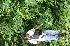  ( - BioBot05353)  @11 [ ] Copyright (2010) Unspecified Unspecified