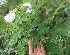  ( - BioBot05353)  @11 [ ] Copyright (2010) Unspecified Unspecified