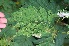  ( - BioBot05353)  @11 [ ] Copyright (2010) Unspecified Unspecified