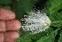  ( - BioBot05353)  @11 [ ] Copyright (2010) Unspecified Unspecified