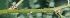  ( - BioBot05353)  @11 [ ] Copyright (2010) Unspecified Unspecified
