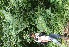  ( - BioBot05354)  @11 [ ] Copyright (2010) Unspecified Unspecified