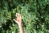  ( - BioBot05354)  @11 [ ] Copyright (2010) Unspecified Unspecified
