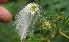  ( - BioBot05354)  @11 [ ] Copyright (2010) Unspecified Unspecified