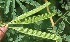  ( - BioBot05354)  @11 [ ] Copyright (2010) Unspecified Unspecified