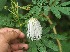  ( - BioBot05354)  @11 [ ] Copyright (2010) Unspecified Unspecified