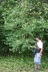  ( - BioBot05355)  @11 [ ] Copyright (2010) Unspecified Unspecified