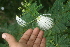  ( - BioBot05355)  @11 [ ] Copyright (2010) Unspecified Unspecified