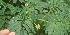  ( - BioBot05355)  @11 [ ] Copyright (2010) Unspecified Unspecified