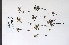  ( - 09PROBE-05004)  @11 [ ] Copyright (2010) Unspecified Unspecified