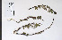  ( - 09PROBE-05005)  @11 [ ] Copyright (2010) Unspecified Unspecified