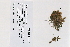  ( - 09PROBE-05027)  @11 [ ] Copyright (2010) Unspecified Unspecified