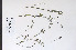  ( - 09PROBE-05037)  @11 [ ] Copyright (2010) Unspecified Unspecified