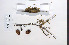  ( - 09PROBE-05052)  @12 [ ] Copyright (2010) Unspecified Unspecified