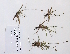  ( - 09PROBE-05054)  @11 [ ] Copyright (2010) Unspecified Unspecified