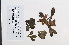  ( - 09PROBE-05061)  @11 [ ] Copyright (2010) Unspecified Unspecified
