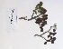  ( - 09PROBE-05063)  @11 [ ] Copyright (2010) Unspecified Unspecified