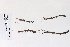  ( - 09PROBE-05065)  @11 [ ] Copyright (2010) Unspecified Unspecified