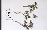  ( - 09PROBE-05079)  @11 [ ] Copyright (2010) Unspecified Unspecified