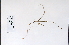  ( - 09PROBE-05092)  @11 [ ] Copyright (2010) Unspecified Unspecified
