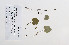  ( - 09PROBE-05094)  @11 [ ] Copyright (2010) Unspecified Unspecified