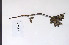  ( - 09PROBE-05095)  @11 [ ] Copyright (2010) Unspecified Unspecified