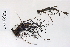  ( - 09PROBE-05108)  @11 [ ] Copyright (2010) Unspecified Unspecified