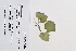  ( - 09PROBE-05113)  @11 [ ] Copyright (2010) Unspecified Unspecified