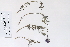  ( - 09PROBE-05229)  @11 [ ] Copyright (2010) Unspecified Unspecified