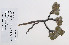  ( - 09PROBE-05237)  @11 [ ] Copyright (2010) Unspecified Unspecified