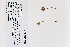  ( - 09PROBE-05256)  @11 [ ] Copyright (2010) Unspecified Unspecified