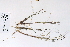  ( - 09PROBE-05260)  @11 [ ] Copyright (2010) Unspecified Unspecified