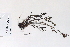  ( - 09PROBE-05323)  @11 [ ] Copyright (2010) Unspecified Unspecified