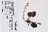  ( - 09PROBE-05328)  @11 [ ] Copyright (2010) Unspecified Unspecified