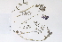 ( - 09PROBE-05334)  @11 [ ] Copyright (2010) Unspecified Unspecified