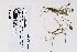  ( - 09PROBE-05365)  @11 [ ] Copyright (2010) Unspecified Unspecified