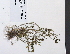  ( - 09PROBE-05384)  @11 [ ] Copyright (2010) Unspecified Unspecified