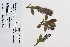  ( - 09PROBE-05386)  @11 [ ] Copyright (2010) Unspecified Unspecified