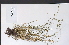  ( - 09PROBE-05395)  @11 [ ] Copyright (2010) Unspecified Unspecified
