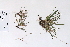  ( - 09PROBE-05400)  @11 [ ] Copyright (2010) Unspecified Unspecified