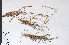  ( - 09PROBE-05477)  @11 [ ] Copyright (2010) Unspecified Unspecified