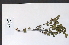  ( - 09PROBE-05527)  @11 [ ] Copyright (2010) Unspecified Unspecified