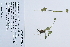  ( - 09PROBE-05533)  @11 [ ] Copyright (2010) Unspecified Unspecified