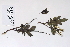  ( - 09PROBE-05536)  @11 [ ] Copyright (2010) Unspecified Unspecified