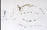  ( - 09PROBE-05541)  @11 [ ] Copyright (2010) Unspecified Unspecified