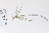  ( - 09PROBE-05543)  @11 [ ] Copyright (2010) Unspecified Unspecified