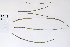  ( - 09PROBE-05547)  @11 [ ] Copyright (2010) Unspecified Unspecified