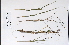  ( - 09PROBE-05572)  @11 [ ] Copyright (2010) Unspecified Unspecified